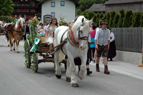 MGB-Zell-am-Ziller-05.05.2024-292