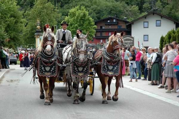 MGB-Zell-am-Ziller-05.05.2024-315